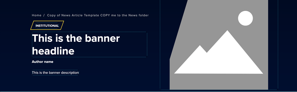 Example Article banner