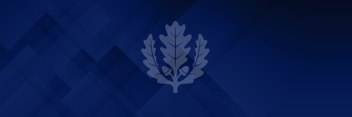 Hub default image oak leaf on patterned background