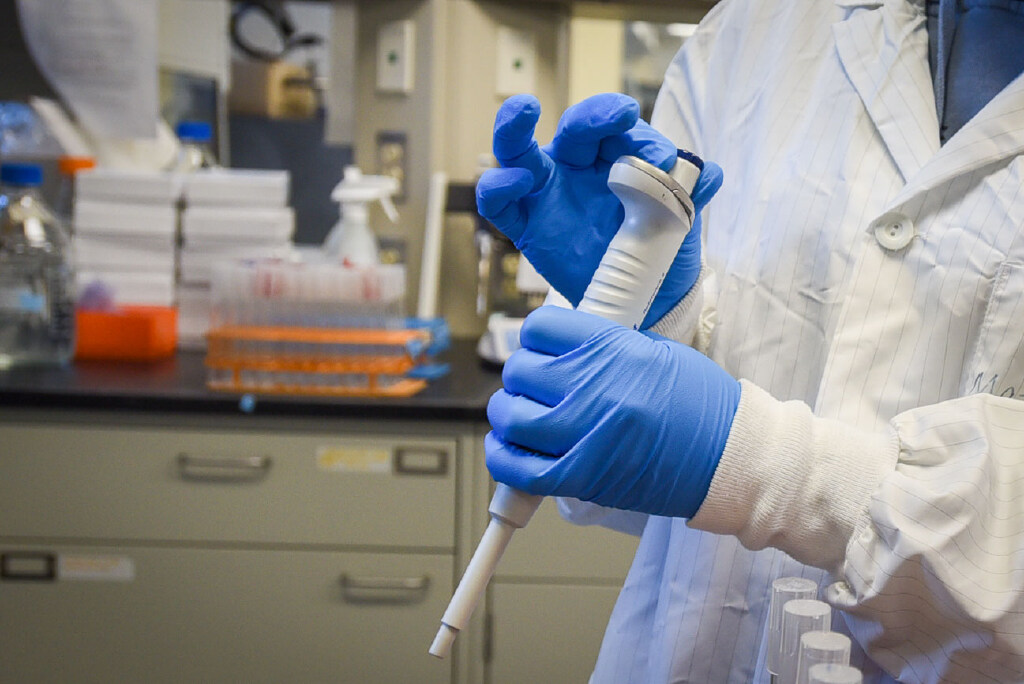 Hands with gloves on holding medical device for research